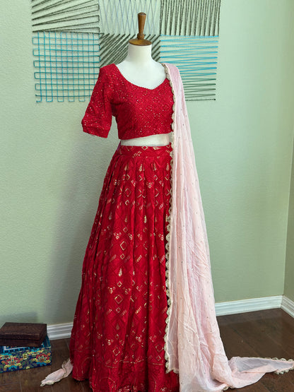 Chikankari Lehenga | Mehendi & Haldi Lehenga Choli | Red Lehenga Set | Pink Lehenga Set | Indian Wedding Guest Outfit | Pre Wedding Ceremony Dress
