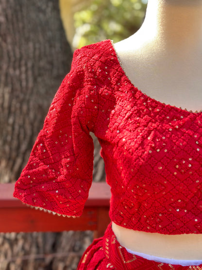 Chikankari Lehenga | Mehendi & Haldi Lehenga Choli | Red Lehenga Set | Pink Lehenga Set | Indian Wedding Guest Outfit | Pre Wedding Ceremony Dress