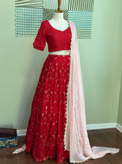 Chikankari Lehenga | Mehendi & Haldi Lehenga Choli | Red Lehenga Set | Pink Lehenga Set | Indian Wedding Guest Outfit | Pre Wedding Ceremony Dress