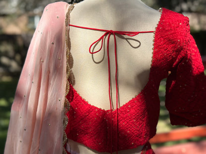 Chikankari Lehenga | Mehendi & Haldi Lehenga Choli | Red Lehenga Set | Pink Lehenga Set | Indian Wedding Guest Outfit | Pre Wedding Ceremony Dress