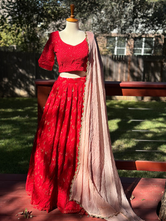 Chikankari Lehenga | Mehendi & Haldi Lehenga Choli | Red Lehenga Set | Pink Lehenga Set | Indian Wedding Guest Outfit | Pre Wedding Ceremony Dress