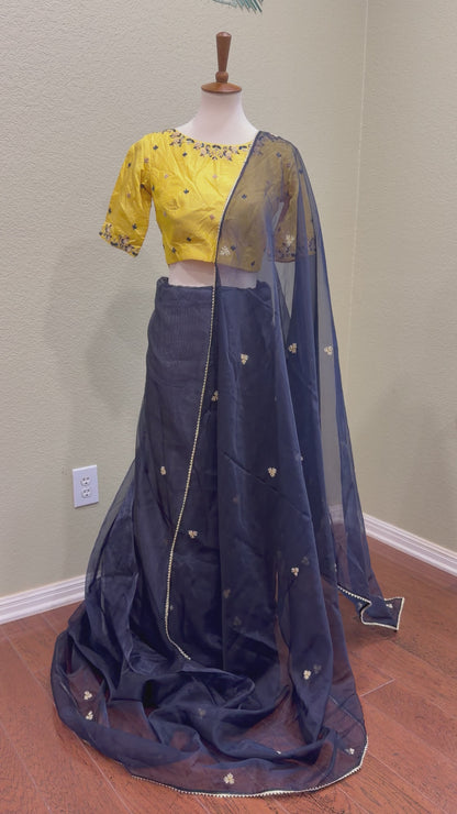 Designer saree with Blouse
