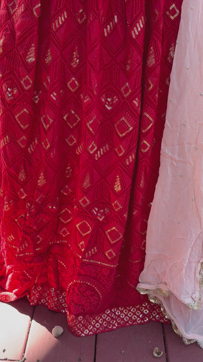 Chikankari Lehenga | Mehendi & Haldi Lehenga Choli | Red Lehenga Set | Pink Lehenga Set | Indian Wedding Guest Outfit | Pre Wedding Ceremony Dress