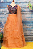 Organza crop top,organza Lehenga,organza half saree,organza duppatta,organza kids crop top,organza teens Lehenga,Indian party wear dress