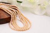 south sea pearls pearl necklace pearl jewelry  22kt gold plated jewelry indian ,925 silver jewelry,sterling silver jewelry -SHABURIS
