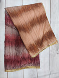 Kalamkari saree blouse aplique work blouse lyte weight saree party wear saree blouse festive saree grey saree kalamkari blouse